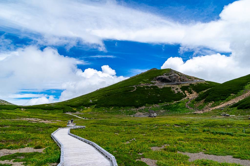 夏山