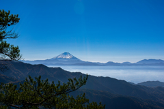 富士山