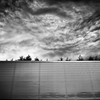 雲