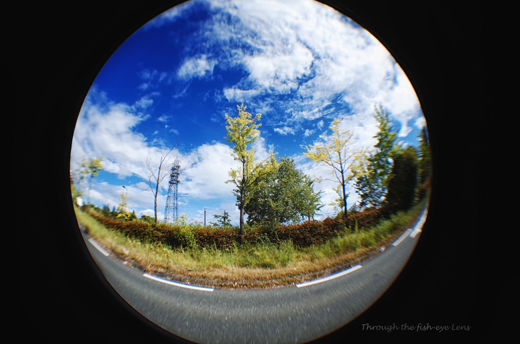 Through the fish-eye lens