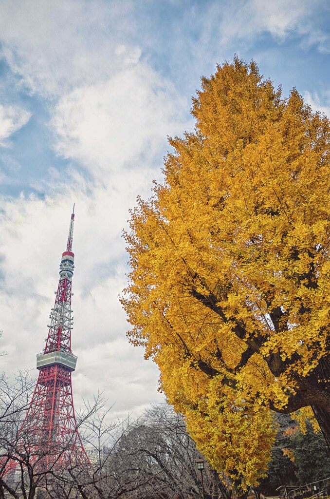 東京タワー