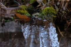 山からの湧き水