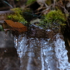 山からの湧き水