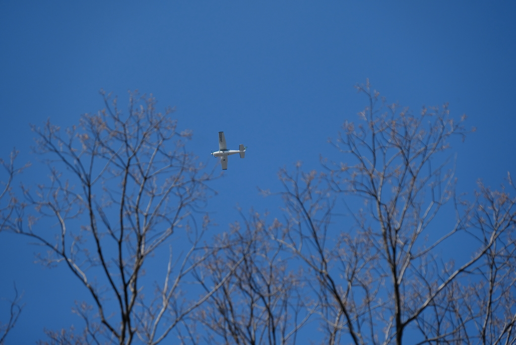 空を飛ぶ