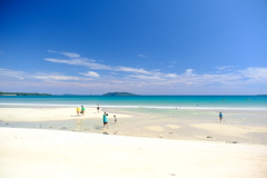 夏の思い出
