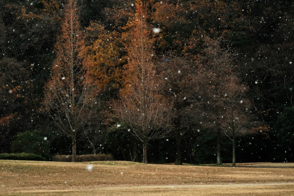 初雪の朝