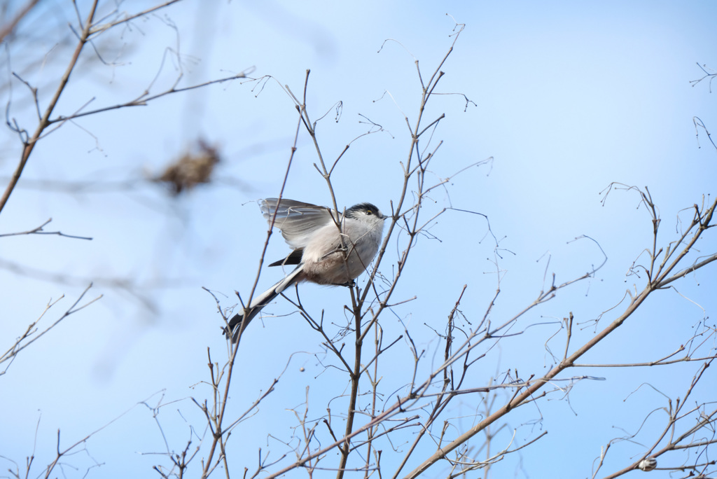 かわい子ちゃん♪