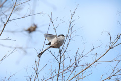 かわい子ちゃん♪