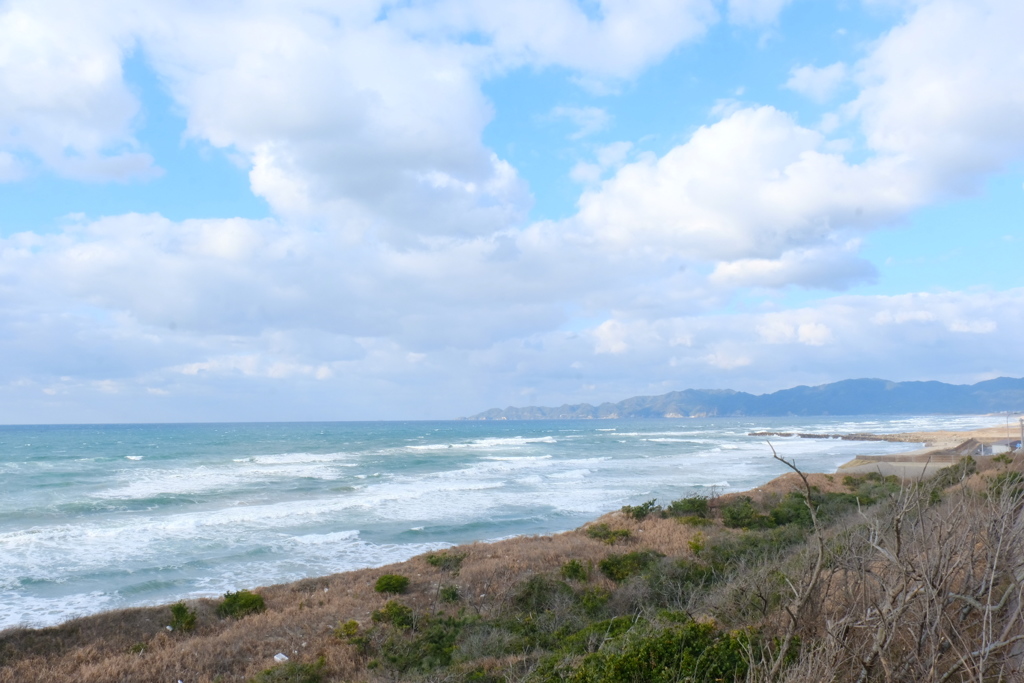 海岸線ドライブ