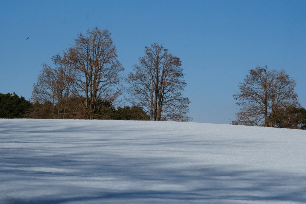 雪の日に