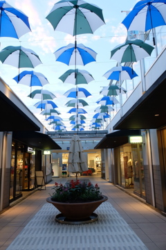 NAGOYA umbrella♪