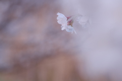 春愁