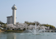 公園
