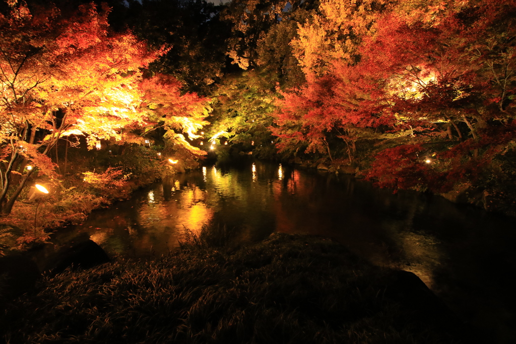 徳川園