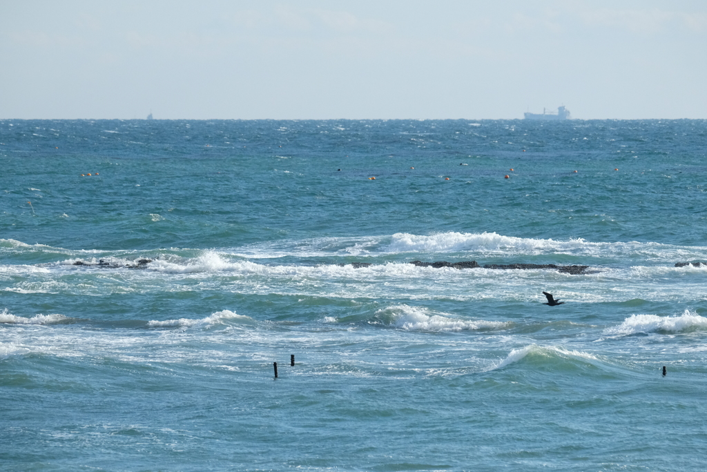 立春の海