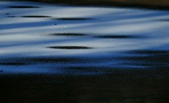 indigoblueの光と影