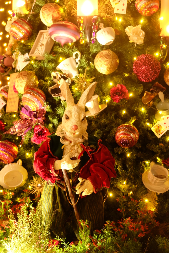 ALICE　wanderland♪