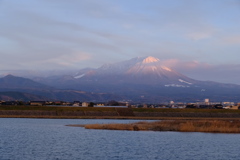 桃色大山