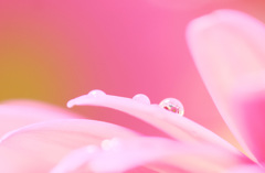spring♪