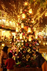 ALICE　wanderland♪