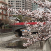 ３月　１