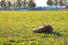Take me out to the ballgame!