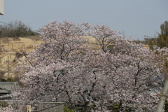 IMG_3002