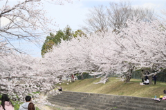 20220402133911_IMG_4807