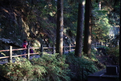 鳳来寺山①