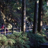 鳳来寺山①