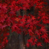 鳳来寺③