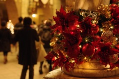 Holiday Season