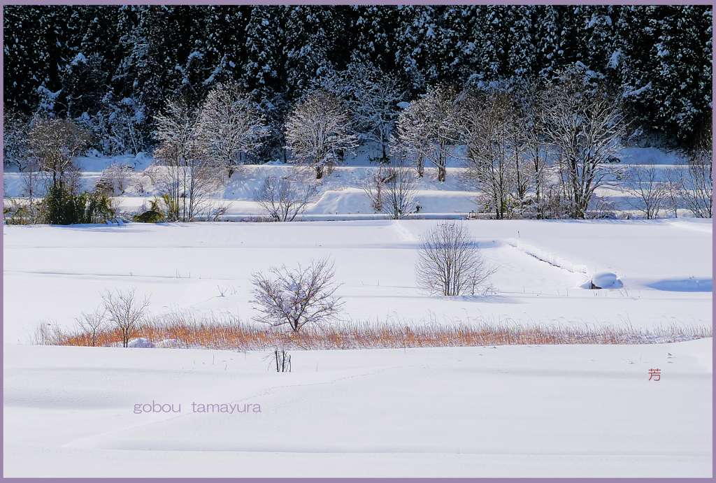 「雪晴れの朝　3」