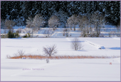 「雪晴れの朝　3」
