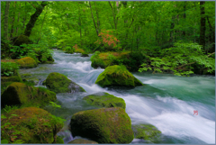 「2024　上石ヶ戸の流れ」