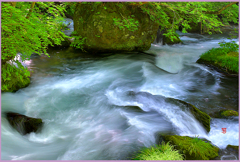 奥入瀬.清流変幻自在　Ⅱ」