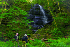 「新緑の九段の滝」