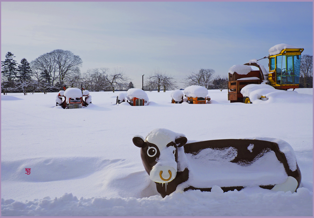 「まきば寸景」