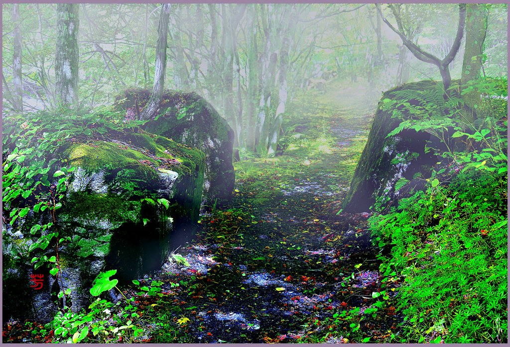 「朝霧.奥の細道」