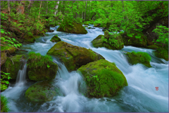 「本石ヶ戸の流れ」