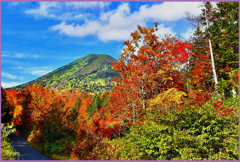 @八甲田山紅葉
