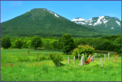 八甲田山「初夏の風」