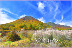 ＠八甲田山.雛岳紅葉　Ⅱ　
