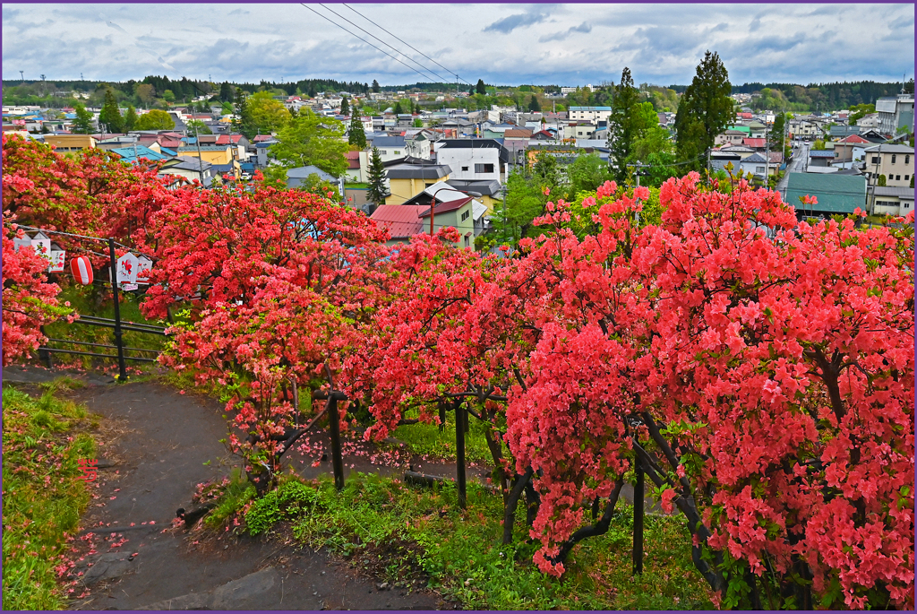 「天王神社周遊坂」