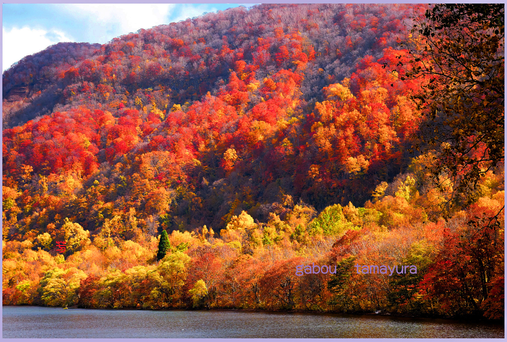 「燃ゆる十和田湖」