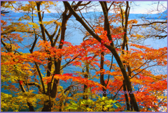 「神秘の十和田湖Ⅲ」