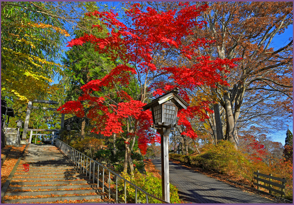 「紅葉の縁日坂 」