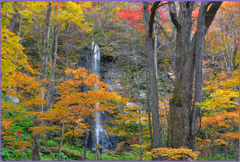 白糸の滝