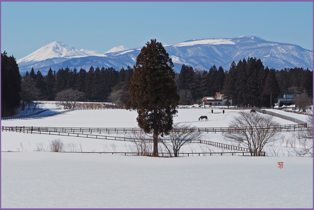 「まきば春陽」