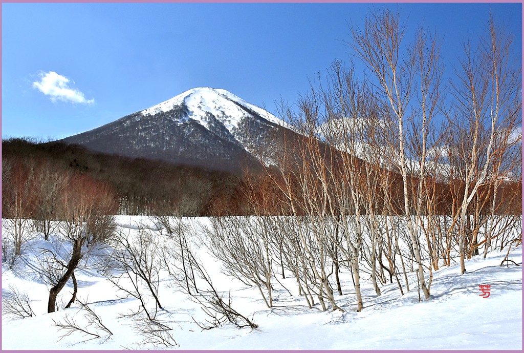 雛岳とダテ樺 Ⅱ